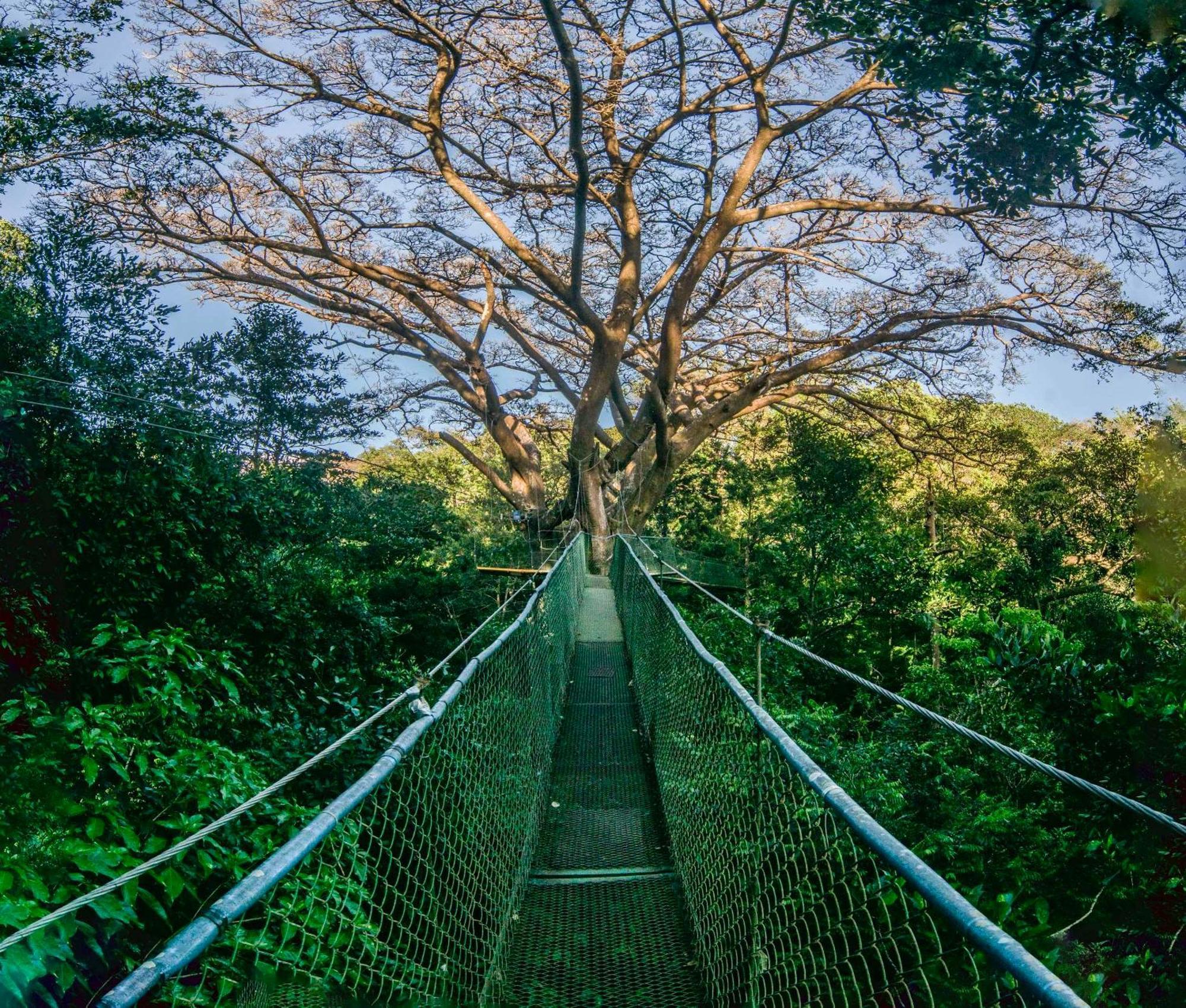 Buena Vista Del Rincon Eco Adventure Park Hotel & Spa Либерия Экстерьер фото
