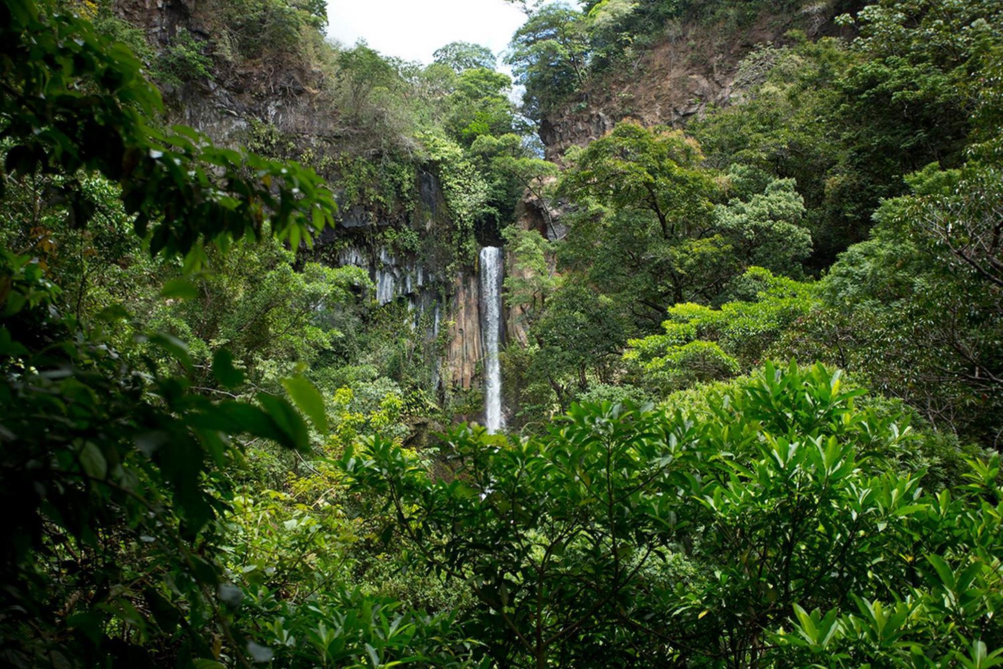Buena Vista Del Rincon Eco Adventure Park Hotel & Spa Либерия Экстерьер фото